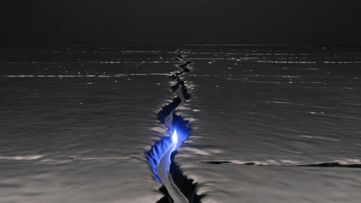 motion study — Prism Trench